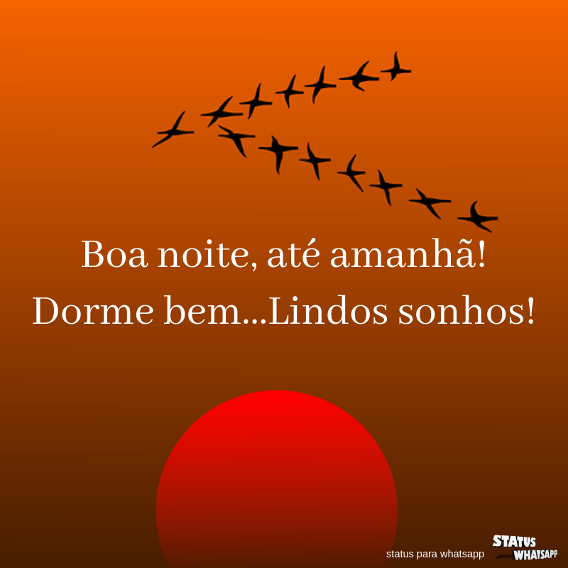 boa noite, até amanhã Frases