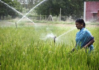 How to create employment in this technical era,irrigation facilities,employment