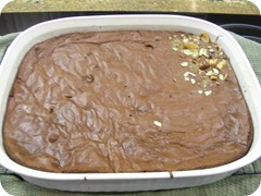 DSCN5552