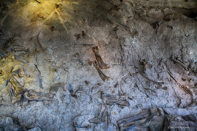 Dinosaur National Monument Utah geology fossils travel rocks hiking camping outdoors scenery copyright RocDocTravel.com