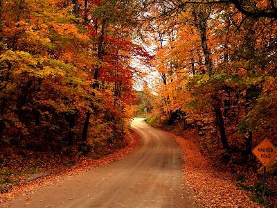 Thanksgiving Wallpaper on Country Road Autumn Wallpaper  Conservatives And The Hysterical Style