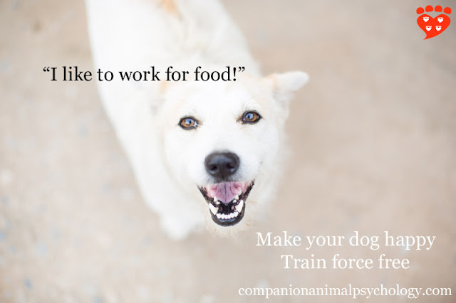 A happy white dog says "I like to work for food"