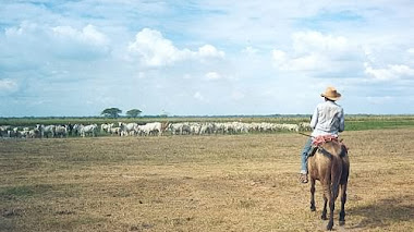  El lenguaje del conquistador