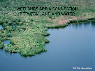 <imgsrc="http://udinikkara.blogspot.com/image.jpg" alt="world wetland day" … />