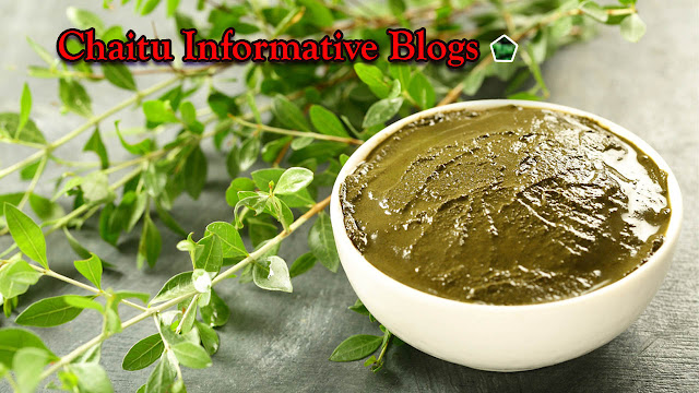 black_henna_powder_formula_chaitu_informative_blogs