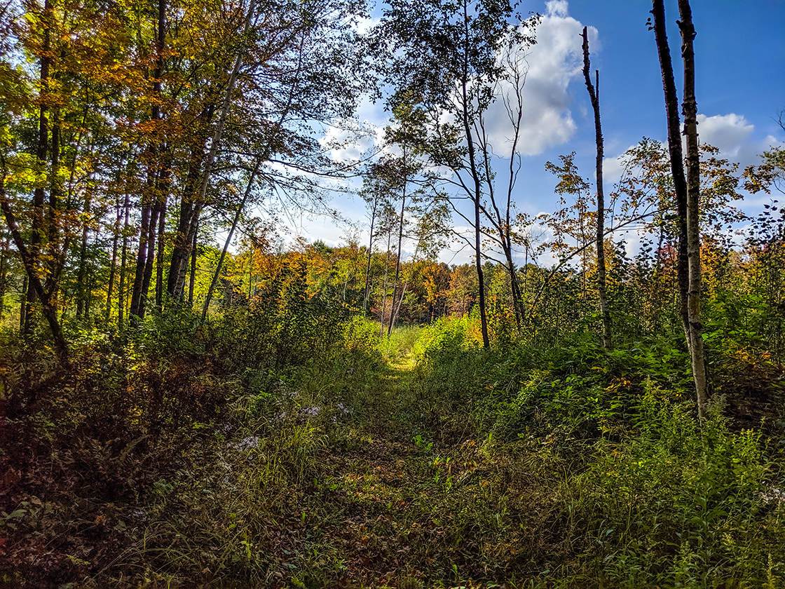 Ice Age Trail New Wood Segment