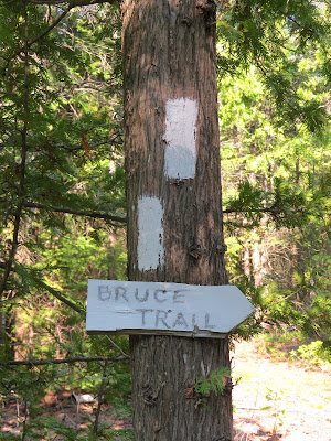 Bruce Trail hiking marker.