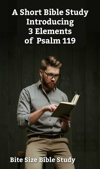 This short Bible study offers a fun and effective way to study Psalm 119, the longest psalm.