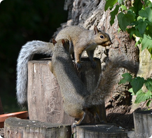 DSC_0928