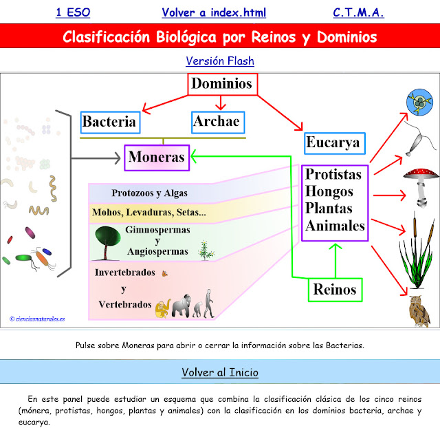  Pulse para ir al documento HTML5 referido a la Clasificación biológica por Reinos y Dominios