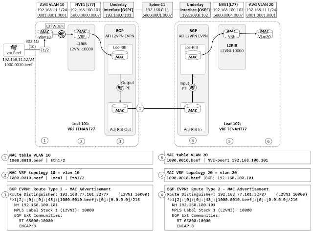 BGP EVPN Route type 2: MAC advertisement