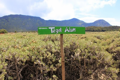 view tegal alun.jpg