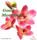 oriza-good-morning-1.gif