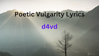 Poetic Vulgarity Lyrics & Info - d4vd