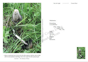 page from Into the Light by artist and writer Corina Duyn, showing a broken mushroom and a quote about relapse in illness