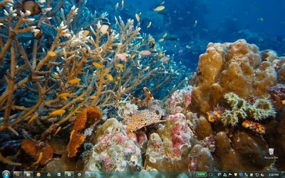 Download Windows Themes Ocean Life HD