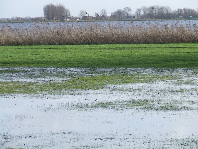 www.jetjesdag.nl | Nicolaas/S fotografie | Warmond en de Kagerplassen |