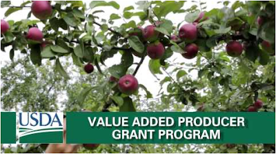 usda_awards_$45_million_in_grants_to_agriculture_businesses