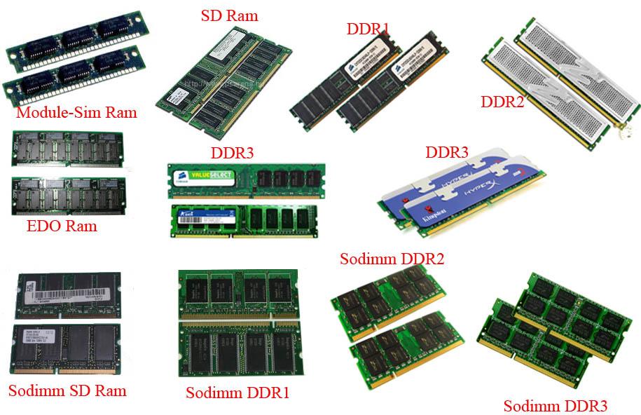 RAM "Random Access Memory" and Processors ~ Free Driver