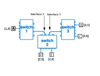 CS610 Assignment No 2 Fall 2019