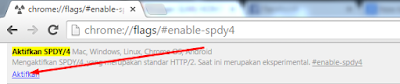 Aktifkan SPDY/4