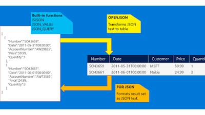 Apa itu Json Script yang Disebut oleh tim IT PDIP terkait Sirekap