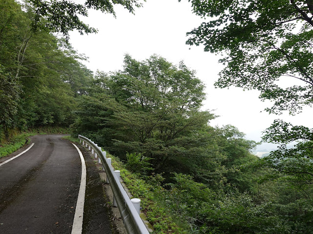 香取の大休峠に向かう山道を降ります