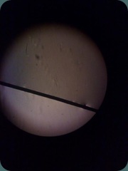 Taken with N95-8gb (2)