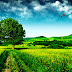 My Hometown