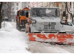 257031