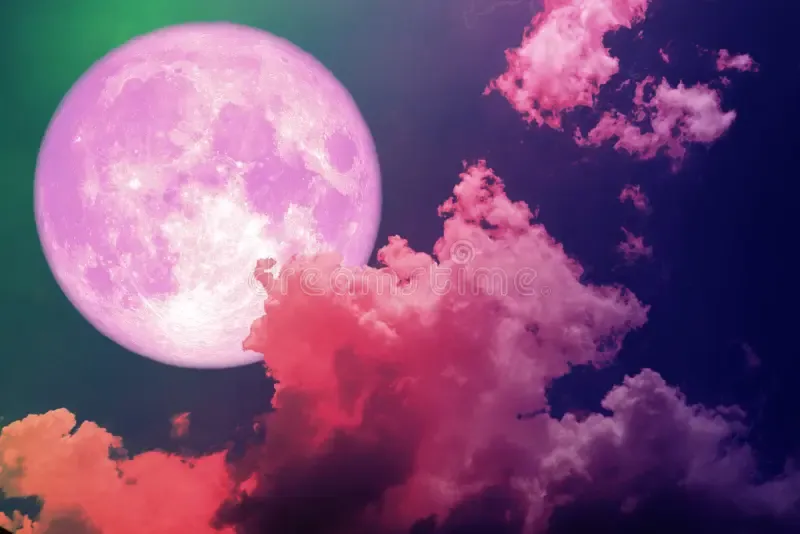 পিঙ্ক মুন পিকচার - গোলাপি চাঁদ ফটো - গোলাপি চাঁদ ছবি - গোলাপি চাঁদ পিকচার  - গোলাপি চাঁদ ফটো -pink moon pic - insightflowblog.com - Image no 2
