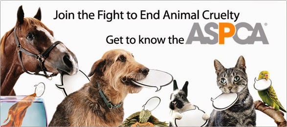 http://www.aspca.org/blog/join-us-celebrating-prevention-cruelty-animals-month