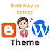 Best way to detect site theme Easily (Hindi)