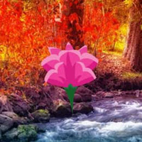 WOWEscape - WOW Fall Water Forest Escape 