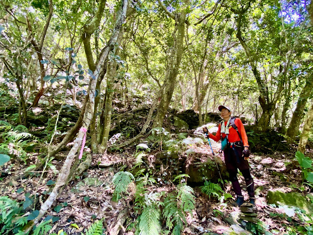 往綠水文山方向下山--駁坎遺址