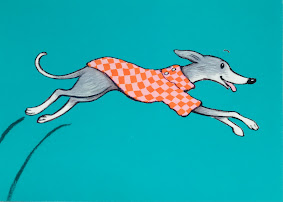 Wafer the whippet leaps across a turquise backdrop. He is wearing an orange and pale pink chequed coat with a neck that extends onto his forelegs.