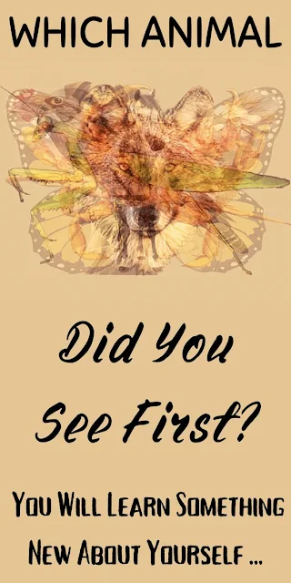 Which Animal Did You See First? You Will Learn Something New About Yourself!