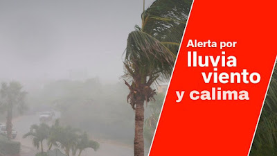 Incidentes en Las Palmas de Gran Canaria por alerta de viento, jueves 27 diciembre