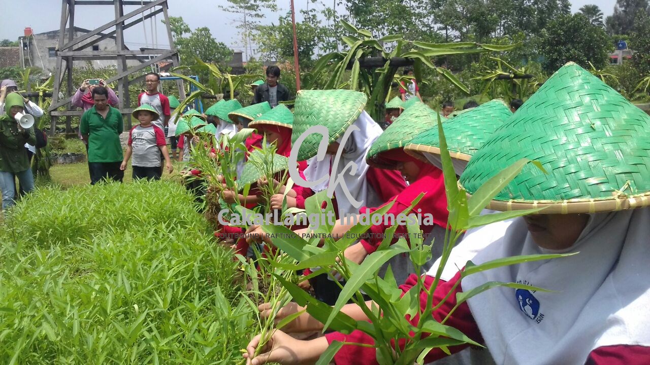 Paket Agro Edukasi Di Agrowisata Villa Bukit Hambalang Cakar