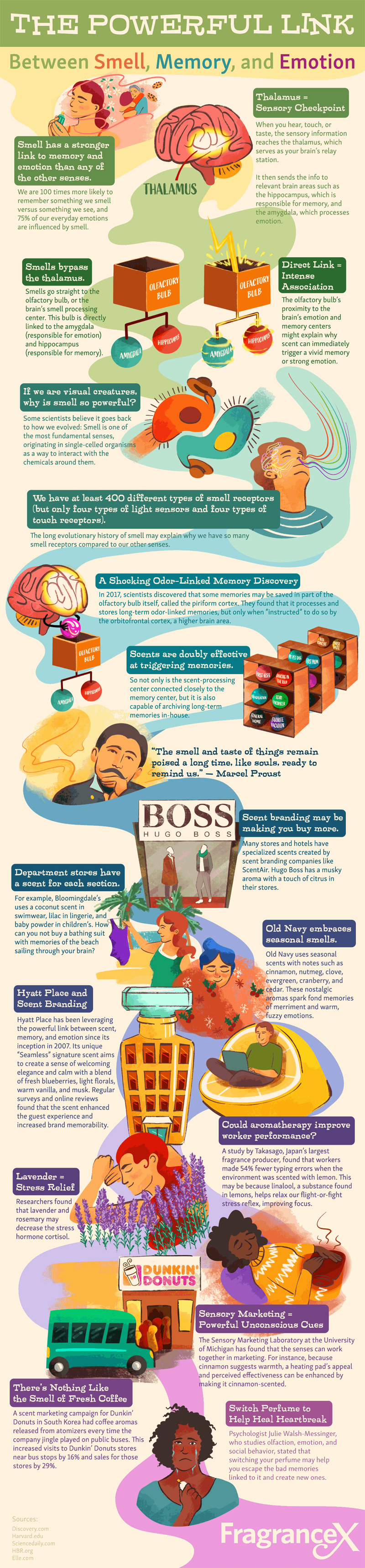 The Powerful Link Between Smell, Memory, and Emotion #infographic #best infographics #infographic s