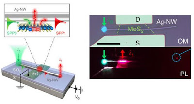  Este é o esquema do multiplexador, com uma entrada e duas saídas. O acoplamento mais-menos indica os excitons. [Imagem: IBS]  Luz na matéria  Engenheiros coreanos construíram três componentes-chave para a viabilização de processadores que usam luz em vez de eletricidade.  Além disso, os três componentes combinam as vantagens da eletrônica tradicional com a nova fotônica, tudo na mesma plataforma.  Usar a luz dentro dos processadores é bom porque ela é muito mais rápida do que a eletricidade, mas é também complicado porque o comprimento de onda da luz é enorme em relação aos componentes ultraminiaturizados da eletrônica atual - enquanto a dimensão de um transístor está na casa dos 20 nanômetros e caindo rápido, o comprimento de onda da luz está na faixa dos 500 nanômetros.  Conversão da luz  A solução é controlar a propagação da luz diretamente na matéria, mais especificamente em nanofios metálicos dentro dos chips. Para isso a luz é convertida em plásmons de superfície, oscilações conjuntas de elétrons que emergem quando a luz atinge a superfície metálica dos fios, geralmente de alumínio, cobre, prata ou ouro.  Usando os plásmons de superfície, a informação pode ser transmitida quase à velocidade da luz em componentes minúsculos, já que as ondas são geradas na superfície do próprio componente, qualquer que seja seu tamanho.  A equipe do Instituto de Ciências Básicas da Coreia do Sul conseguiu usar este princípio para construir três componentes essenciais para o processamento e a comunicações ópticas: transistores, multiplexadores e detectores de luz. Os componentes foram feitos com um semicondutor emergente, o dissulfeto de molibdênio (MoS2).   A luz é transformada em oscilações de elétrons, que se propagam rapidamente pela superfície metálica. [Imagem: Hyun Seok Lee et al. - 10.1038/ncomms13663]  Os componentes funcionam e se interconectam graças a um fenômeno chamado interconversão plásmon-exciton-plásmon, que pode ser visto na figura.  O transistor óptico foi construído interconectando um nanofio a uma folha de MoS2 (a molibdenita é formada por uma única camada atômica). A luz que atinge o componente é convertida em plásmon de superfície, depois para um exciton, de volta para plásmon de superfície, e então re-emitida como luz com um comprimento de onda mais curto - por exemplo, se a luz de entrada for verde, a luz de saída é vermelha.  A multiplexação de comprimento de onda funciona de forma semelhante, mas em vez de uma única folha de MoS2, foi utilizada uma matriz de três materiais semicondutores 2D diferentes emitindo luz em diferentes comprimentos de onda - uma única luz de entrada (violeta) gera três luzes de saída (azul, verde e vermelha).  Os sinais ópticos que se propagam ao longo do nanofio podem também ser transformados e detectados como sinais elétricos por um detector óptico de sinais, permitindo a conexão da parte fotônica do circuito com circuitos eletrônicos.    Fonte: Hyun Seok Lee et al.     Bibliografia:  Reconfigurable exciton-plasmon interconversion for nanophotonic circuits Hyun Seok Lee, Dinh Hoa Luong, Min Su Kim, Youngjo Jin, Hyun Kim, Seokjoon Yun, Young Hee Lee Nature Communications Vol.: 7, Article number: 13663 DOI: 10.1038/ncomms13663