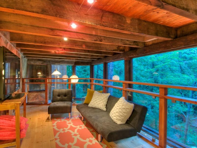 Photo of sofa on the gallery inside of tree house in the forest
