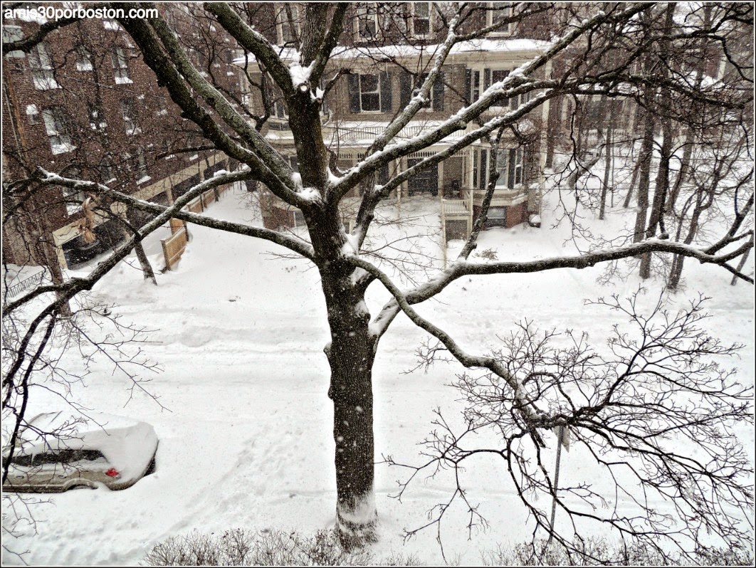 Juno: La primera Snow Emergency del 2015 en Cambridge