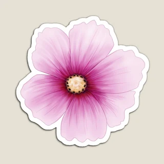 fleurs de cosmos, illustration d'un motif floral pour créer un pattern sur le thème du printemps, design par Audrey Janvier, collection Cosmos Vibes
