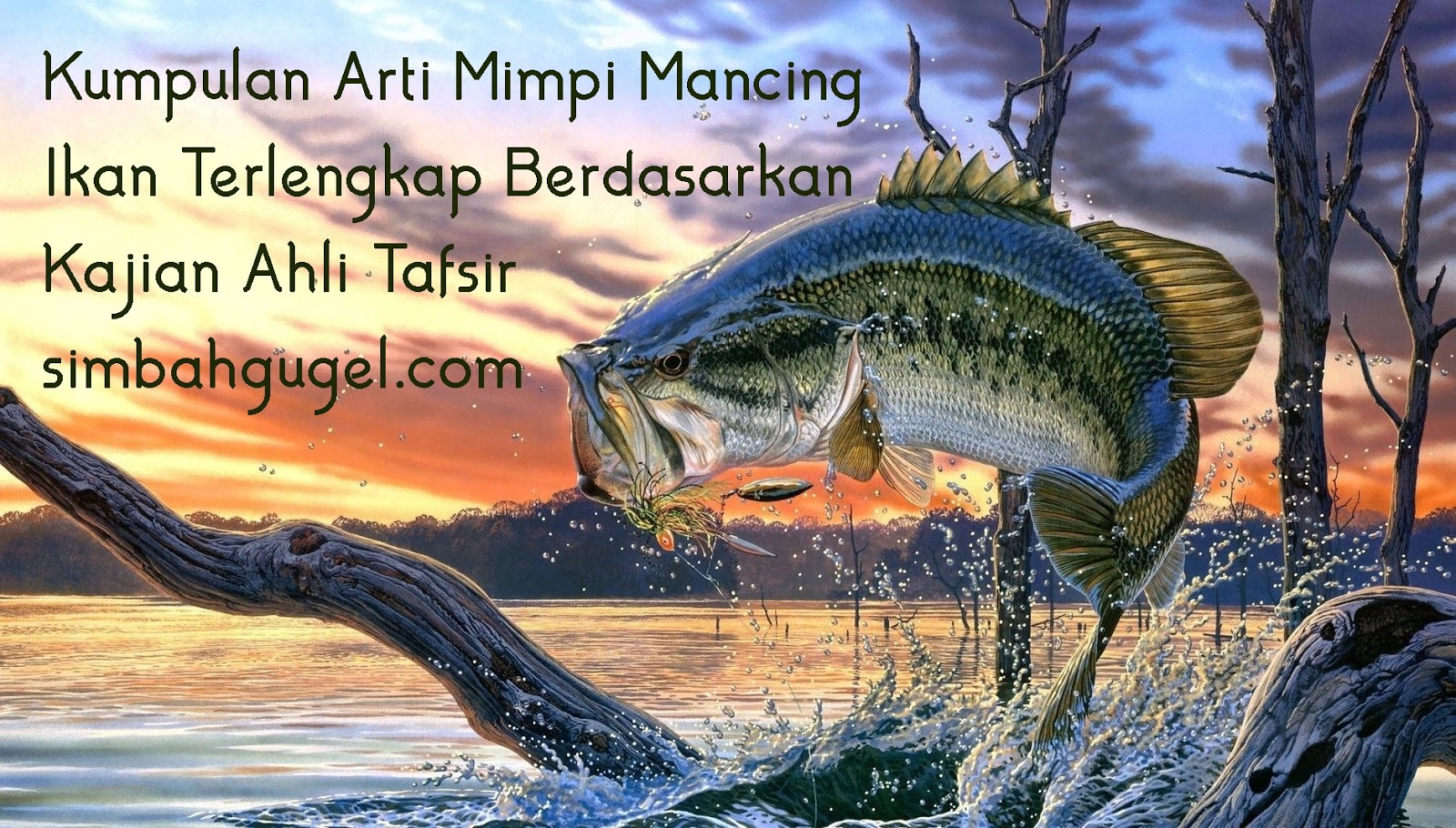 Kumpulan Arti Mimpi Mancing Ikan Terlengkap Berdasarkan Kajian Ahli Tafsir