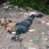Vídeo: Corpo de homem enrolado em rede é encontrado na zona leste de Manaus