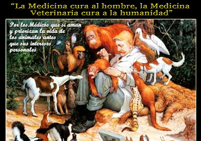 La medicina cura al hombre, la Medicina Veterinaria cura a la humanidad.