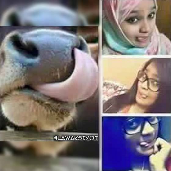 5 Jenis Selfie Inspirasi Dari Haiwan