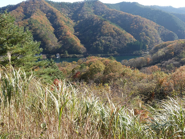 船上山の大山環状道路の眺望