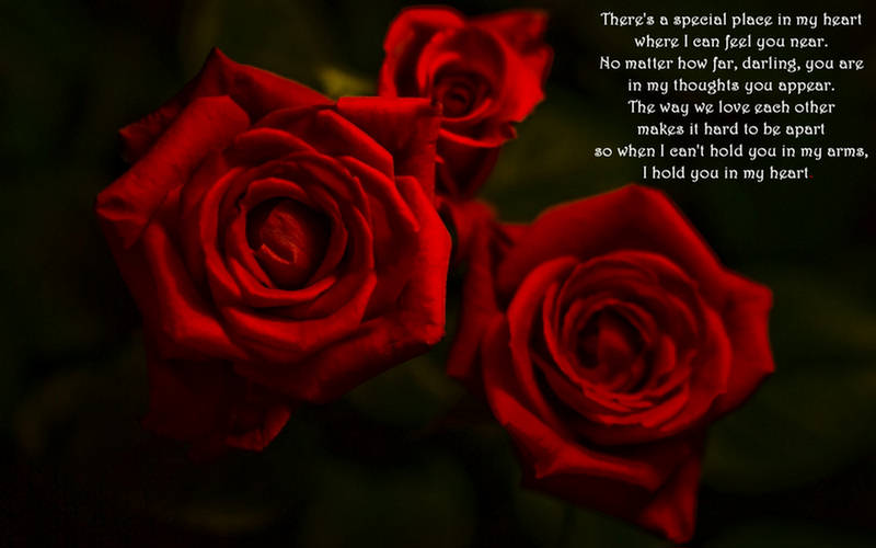 valentines day poems for wife. happy mothers day poems in